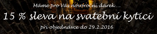 banner.png