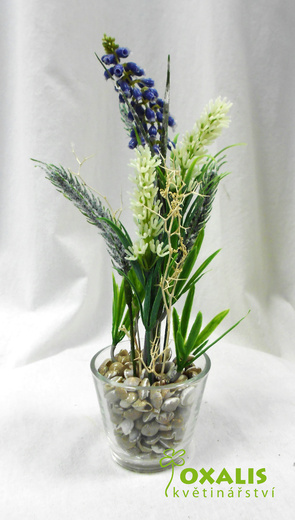 DSCN1497.jpg