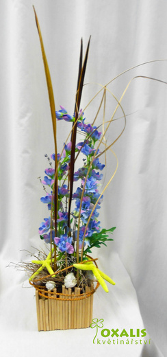 DSCN1498.jpg
