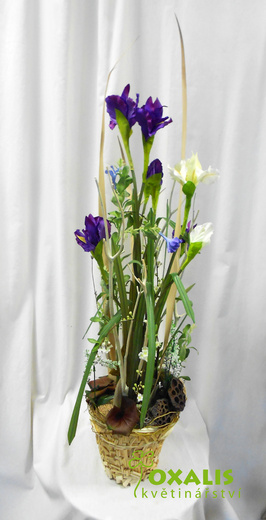 DSCN1502.jpg