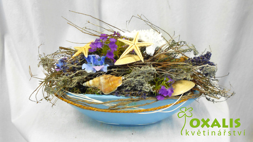 DSCN1512.jpg
