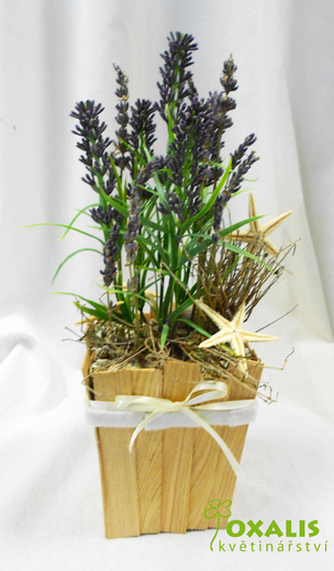 DSCN1516.jpg