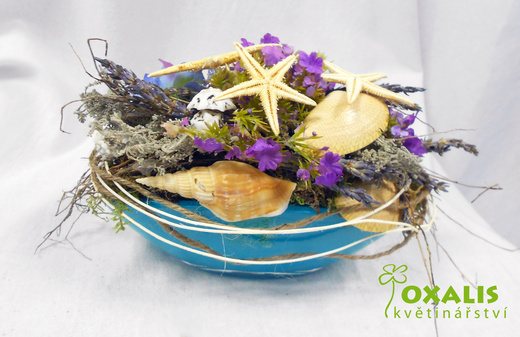 DSCN1517.jpg