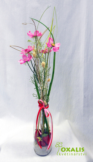 DSCN1520.jpg