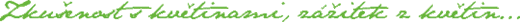 logo4.gif